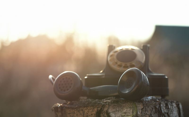 Rotary phone on a tree stump