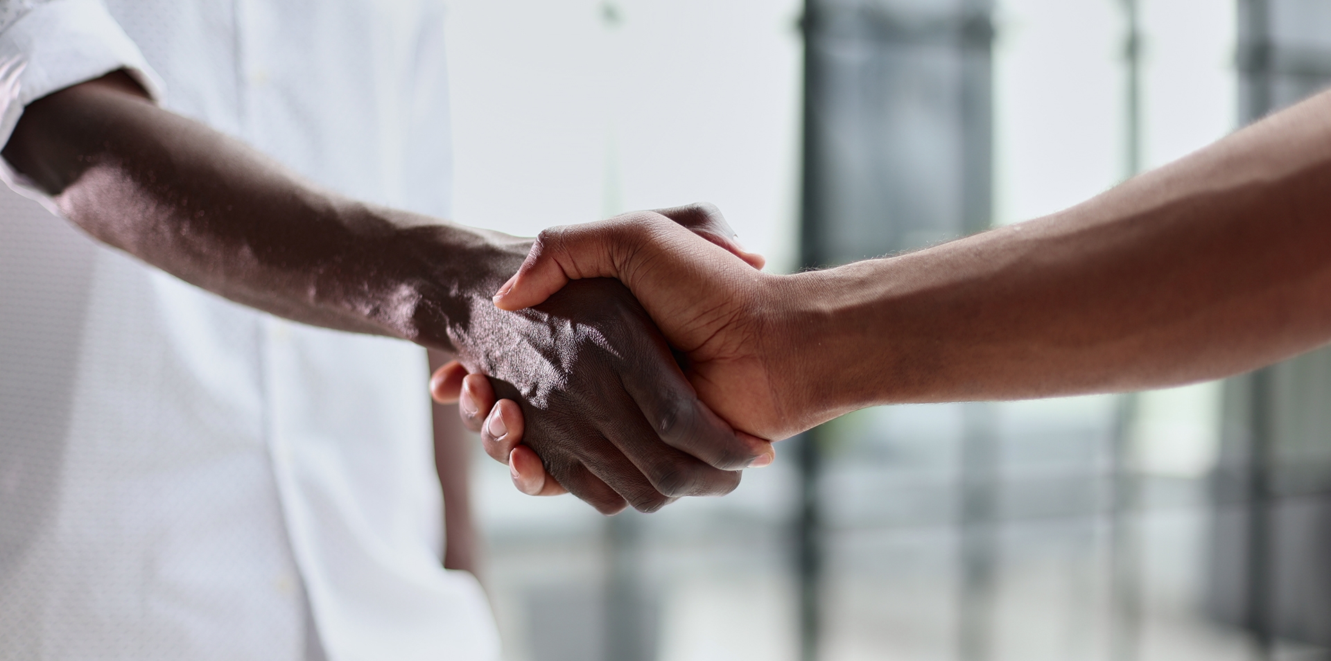 closeup of two people shaking hands